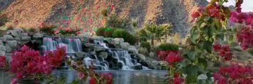 Palm Springs desert oasis