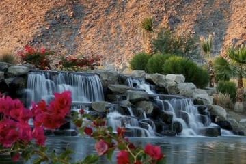 Palm Springs desert oasis