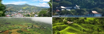 Temple of the Sacred Tooth, Panoramic view of Kandy, Nuwara Eliya & Sri Lankan tea plantation