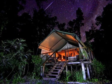 Safari Tent under the stars