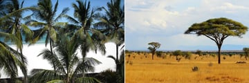 Papillon Beach & Tsavo East National Park