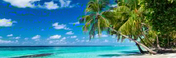 A beautiful beach in the Caribbean