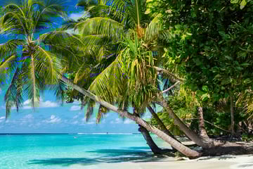 A beautiful beach in the Caribbean
