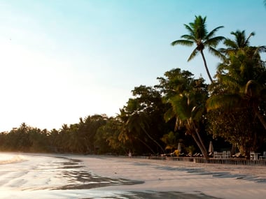 The beach