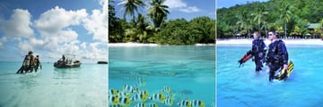 Paradise Sun, Scuba Diving