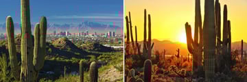 Phoenix & Scottsdale