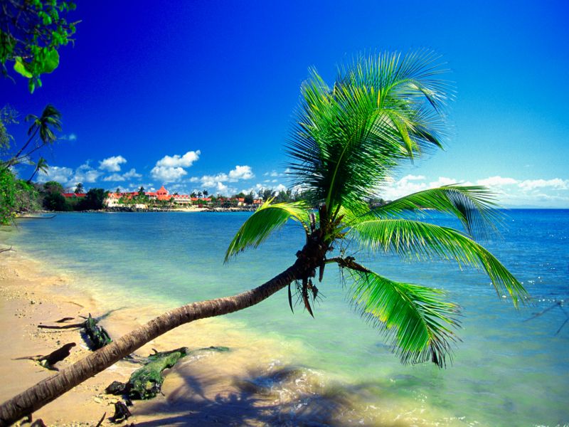 Pigeon Point, Tobago