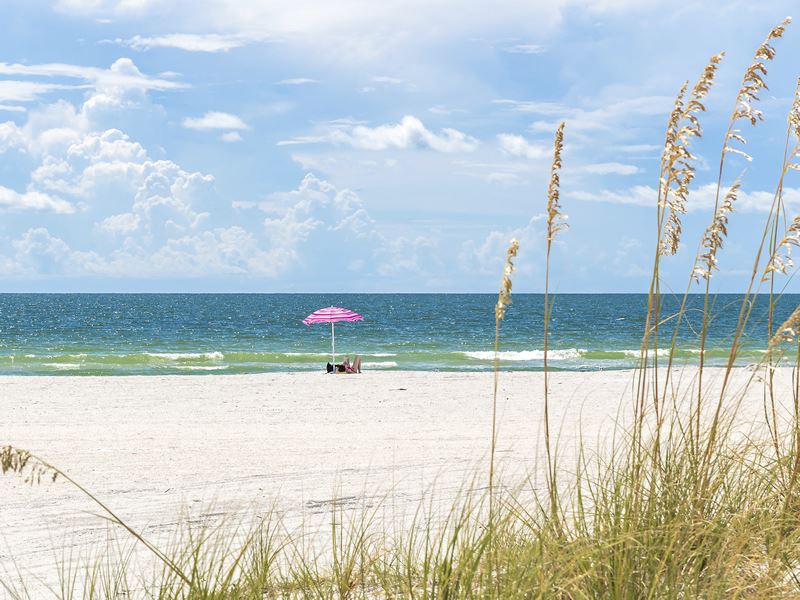 Pink unbrella on St Pete Beach