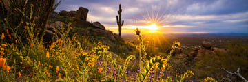 Pinnacle Peak, Scottsdale