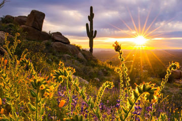 Pinnacle Peak, Scottsdale