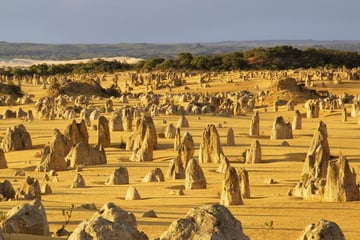 Pinnacles in Nambung National Park