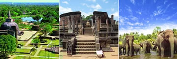 Polonnaruwa Ancient City & Minneriya elephants