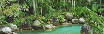 Natural pools in Daintree Rainforest