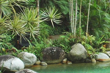 Natural pools in Daintree Rainforest