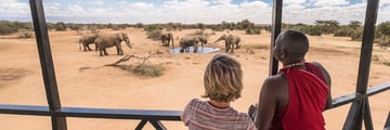 Porini Amboseli