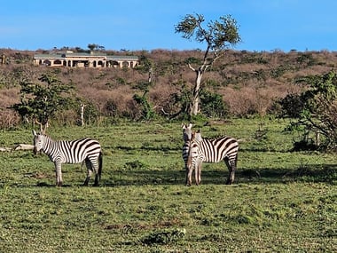 Porini Ol Kinyei Safari Cottages