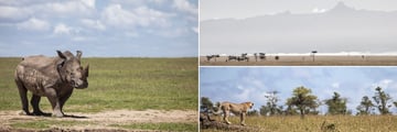 Porini Rhino Camp