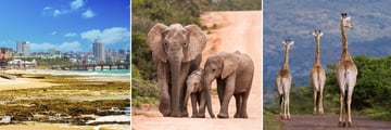 Port Elizabeth, Addo Elephant Park & Pumba Private Game Reserve