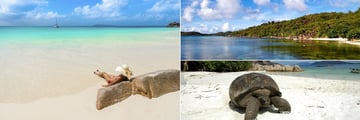 Praslin Island beach, waters and giant tortoise