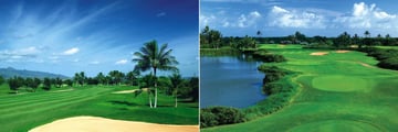 Golf Course at Prince Waikiki