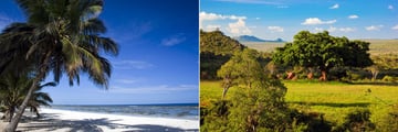 Pristine beach in Kenya & Tsavo National Park