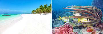Cozumel, Mexico