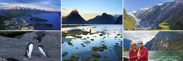 Queenstown, Fiordland Penguins, Milford Sound & Franz Josef Glacier 