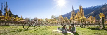 Relaxing in Queenstown