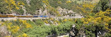 Travelling through Taieri Gorge