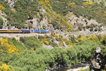 Travelling through Taieri Gorge