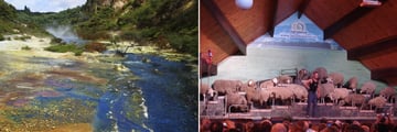 Rainbow Springs & Adgorome Sheep Show