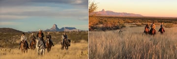 Rancho De La Osa horse riding