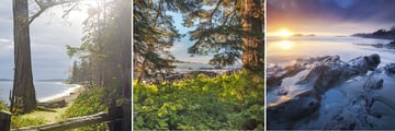 Rathtrevor Forest Trail, Pacific Rim National Park & Tofino Coastal Scenery, Vancouver Island