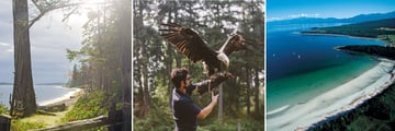 Rathtrevor Trail, Bird Watching and Coastal Scenery in Vancouver Island