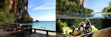 Rayavadee Private Villas, Beach Deck, Pool Deck and Spectacled Langurs 
