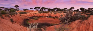 The outback at sunrise