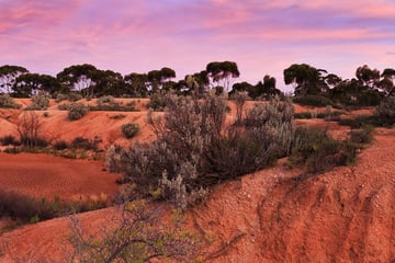 The outback at sunrise