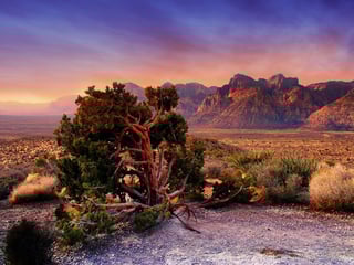 Red Rock Canyon, Nevada