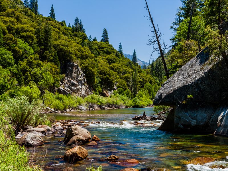 Redwood Creek, Kings Canyon National Park