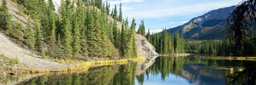 Reflections in the Horseshoe Lake at Denali National Park