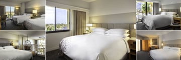 Renaissance Palm Springs, (clockwise from top left): Queen-Queen Guest Room, King Guest Room, Junior Suite Pool View, Executive Suite and Presidential Loft Suite