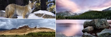 Rocky Mountain National Park & Buffalo Bill State Park