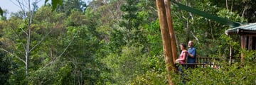 Balcony View of the Rainforest at Rose Gums Wilderness Retreat