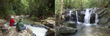 Rainforest Stream and Waterfall at Rose Gums Wilderness Retreat