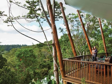 Rose Gums Wilderness Retreat views