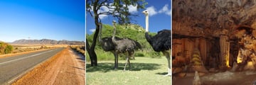Route 62, Oudtshoorn Ostriches & The Congo Caves