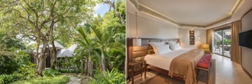 Royal Palm Beachcomber Luxury accommodation