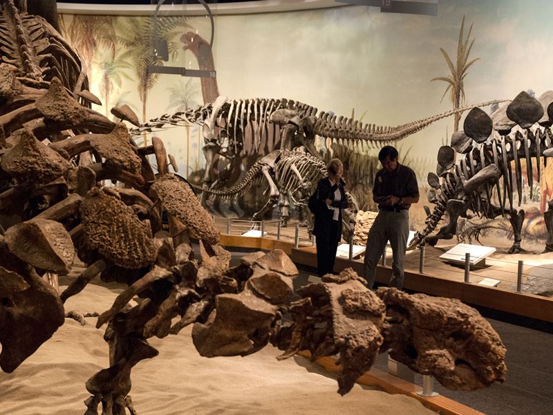 Royal Tyrrell Museum of Palaeontology