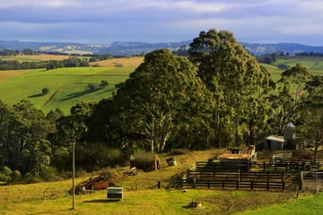 Beautiful rural scene in New South Wales