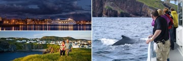 Landscapes & Activities in St. John's